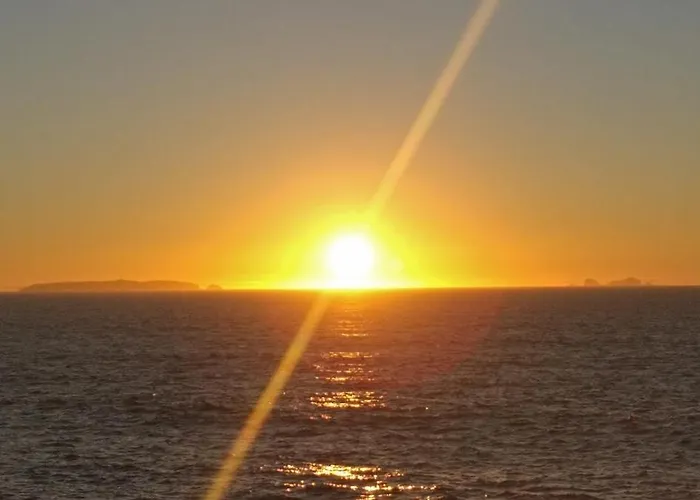 1 Minute From - Wood *